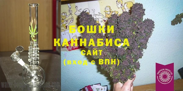 молекула духа Алексин