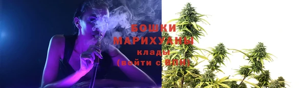 ГАЛЛЮЦИНОГЕННЫЕ ГРИБЫ Алексеевка
