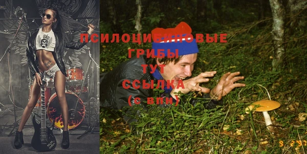 молекула духа Алексин